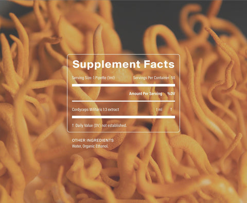 Mushroom Trio by Manapura | The Best, Pure, Clinical-Grade Longevity & Nootropic Supplements | Free Shipping