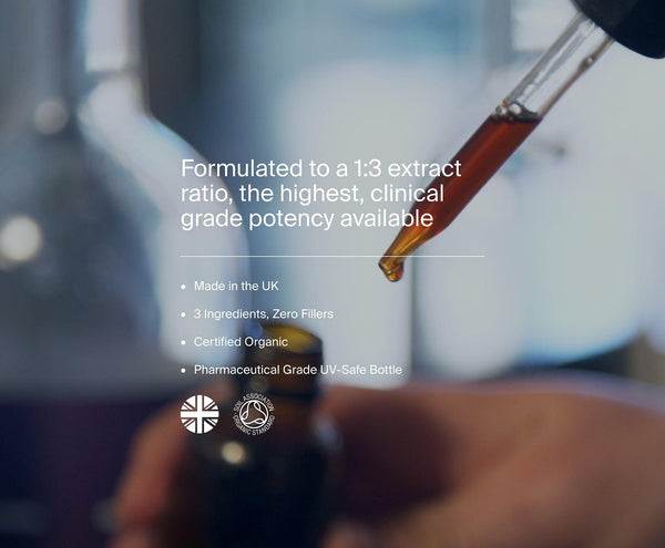 Most Potent Lion's Mane by Manapura | The Best, Pure, Clinical-Grade Longevity & Nootropic Supplements | Free Shipping