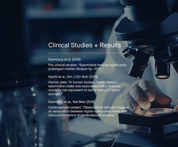 Purest Spermidine by Manapura | The Best, Pure, Clinical-Grade Longevity & Nootropic Supplements | Free Shipping