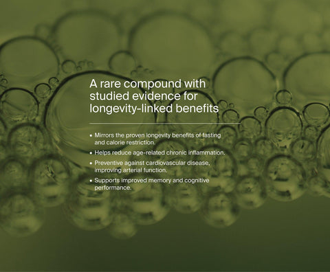 Natural Spermidine by Manapura | The Best, Pure, Clinical-Grade Longevity & Nootropic Supplements | Free Shipping