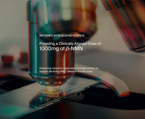 NAD+ Duo by Manapura | The Best, Pure, Clinical-Grade Longevity & Nootropic Supplements | Free Shipping